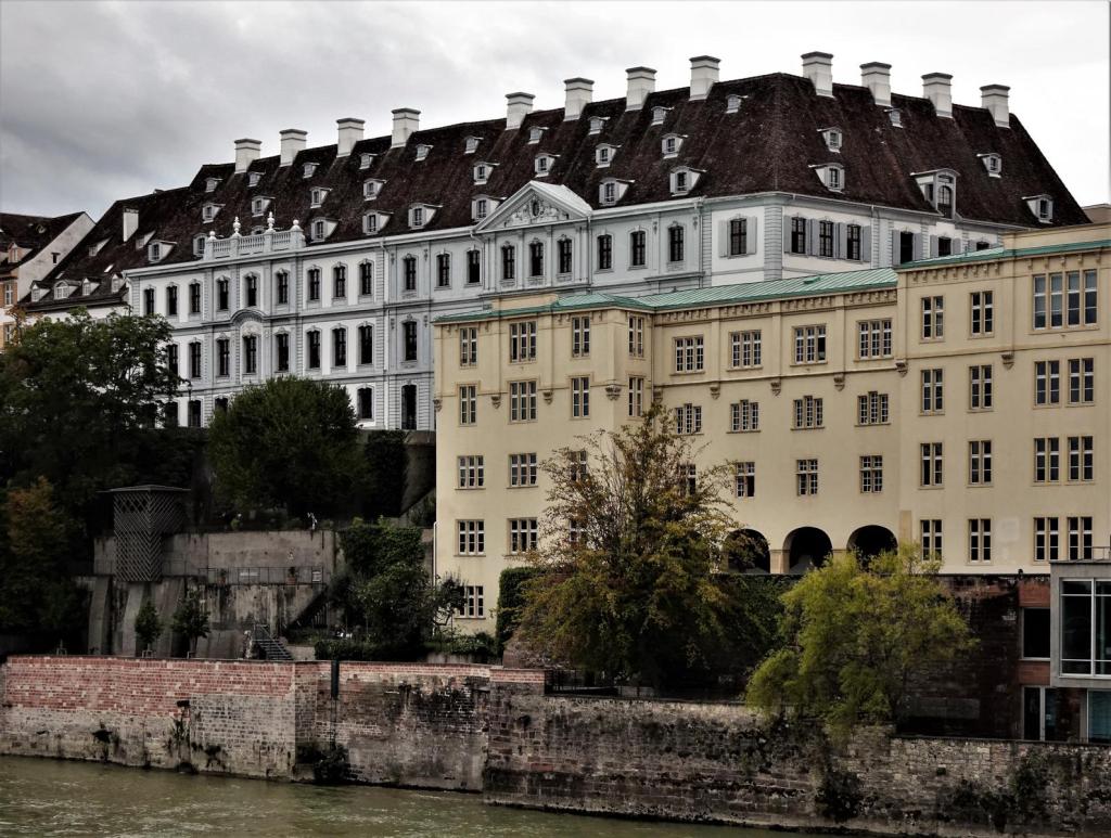 Basel: Weißes und Blaues Haus [hinten], Alte Universität (2023)