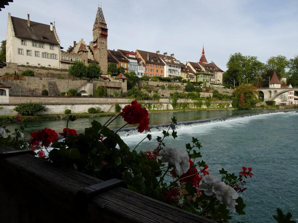 Bremgarten: Oberstadt [Blick von der Reussbrücke] (2023)