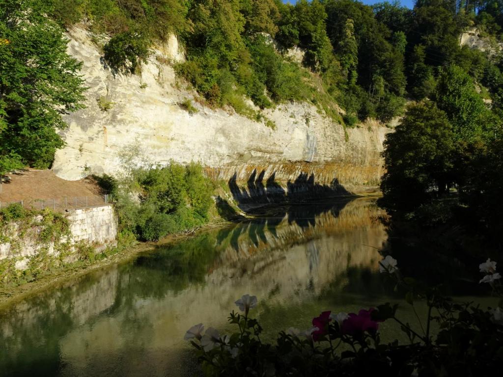 Freiburg [Fribourg]: Fluss Saane (2023)