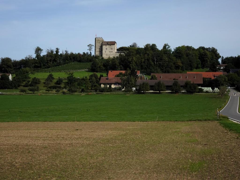 Blick zur Habsburg (2023)