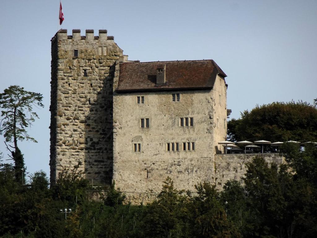 Habsburg: Hintere Burg - Großer Wohnturm und Palas (2023)