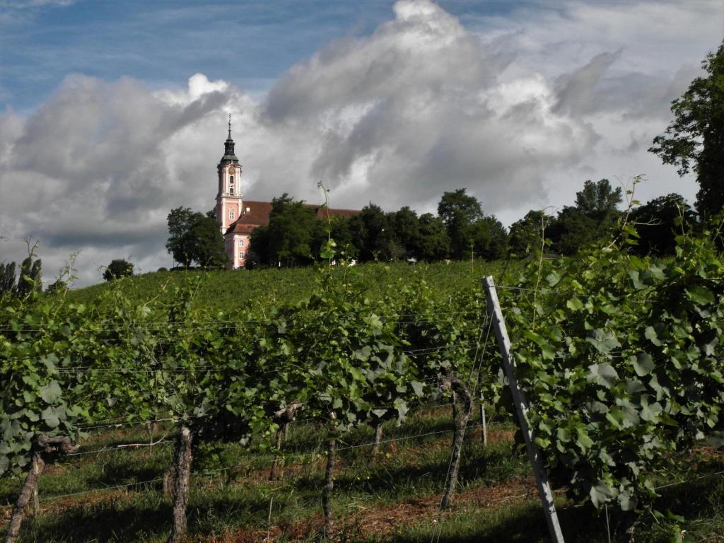 Birnau: Wallfahrtskirche (2017)