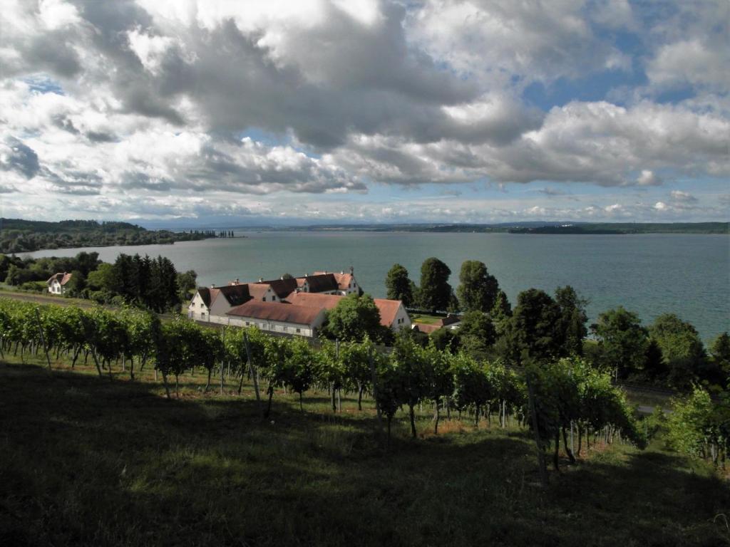 Birnau: Blick auf den Bodensee (2017)