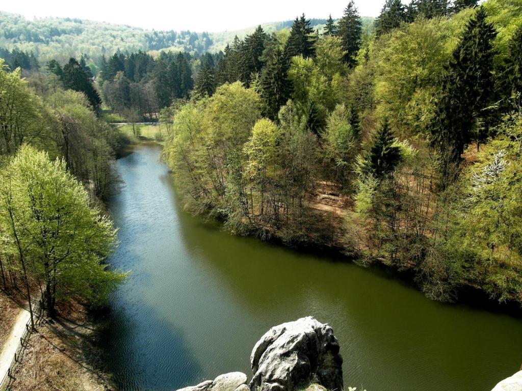 Externsteine: Blick auf den Fluss Wiembecke (2011)