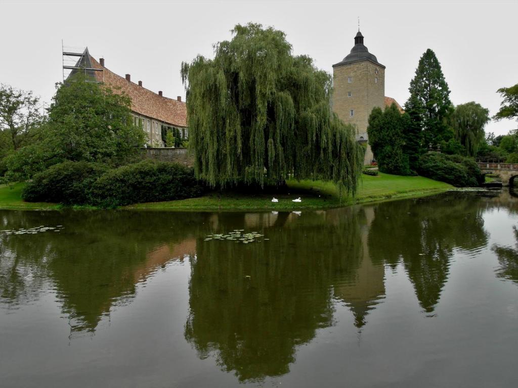 Burgsteinfurt: Burg (2012)