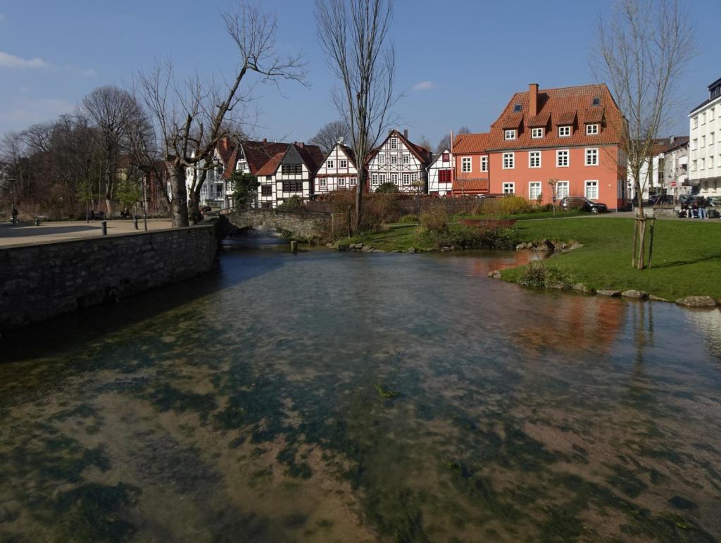 Paderborn: östliche Paderquelle (2024)