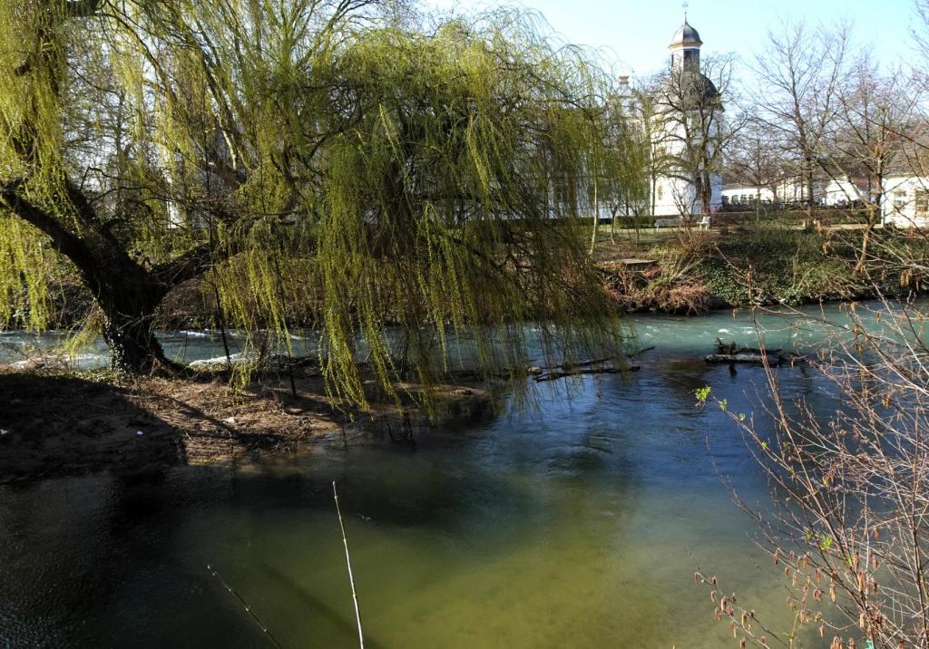 Paderborn: Mündung der Pader in die Lippe (2024)