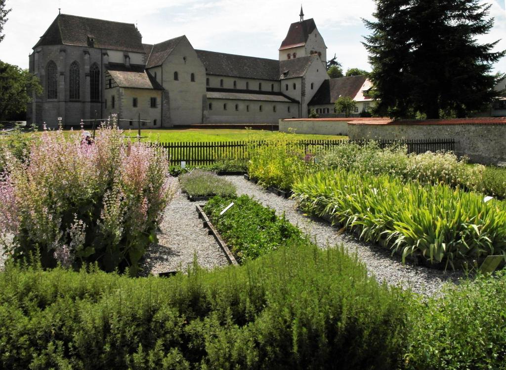 Reichenau: Mittelzell Kräutergarten beim Münster (2017)