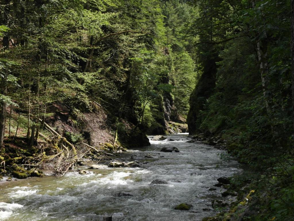 Breitachklamm (2017)