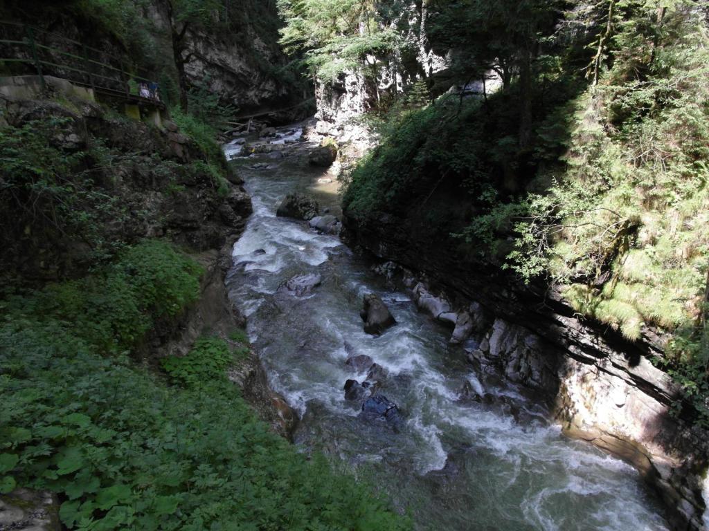 Breitachklamm (2017)