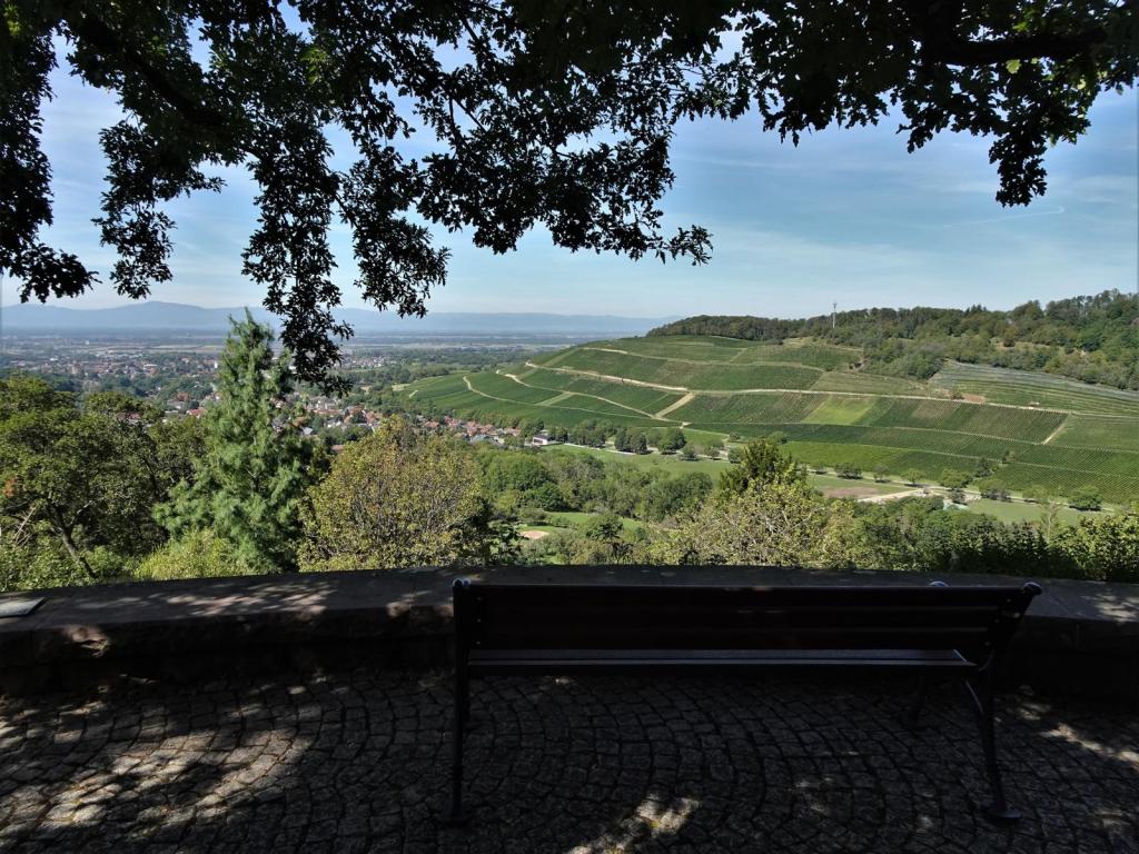 Badenweiler: Vogesenblick (2023)