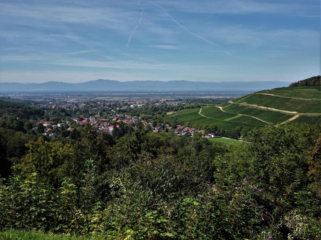 Badenweiler: Vogesenblick (2023)