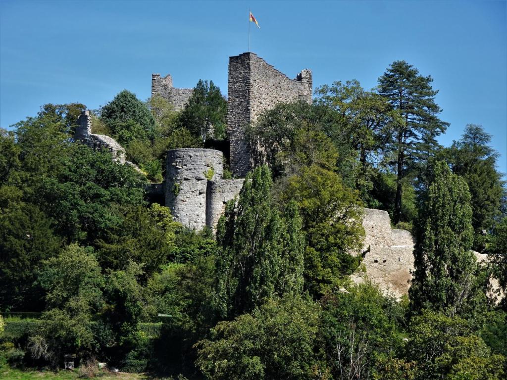 Badenweiler: Burgruine Baden (2023)