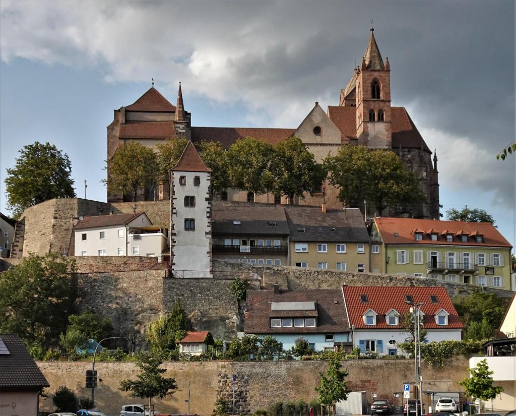 Breisach: Münsterberg (2023)