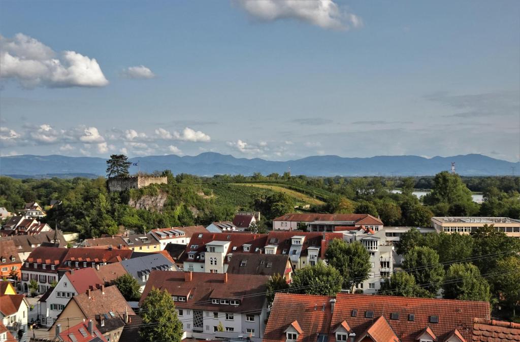 Breisach: Blick vom Münsterberg zum Eckartsberg, hinten Schwarzwald (2023)