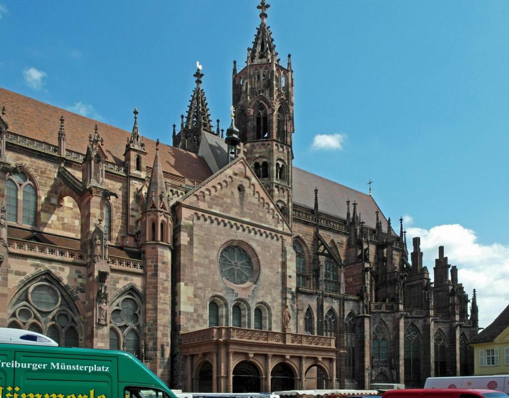 Freiburg: Münster Südseite (2011)