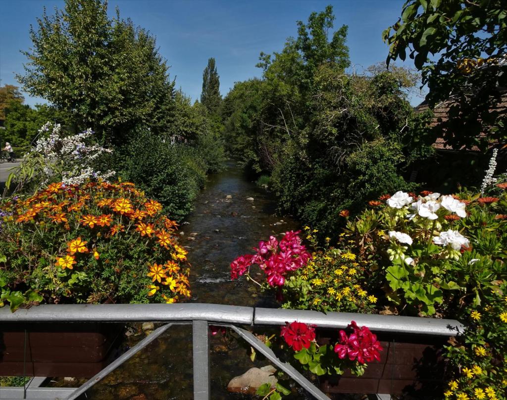 Staufen: Flüsschen Neumagen (2023)