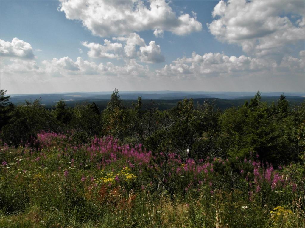Blick vom Fichtelberg nach Westen (2020)