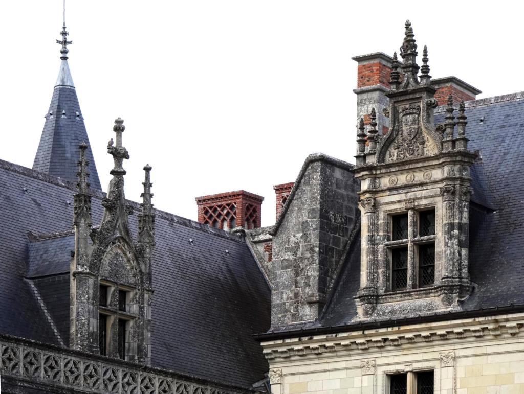 Amboise: Schloss Logis des Königs - Lukarnen der Flügel Karls VIII. [gotisch] und Ludwigs XII. [Renaissance] (2024)