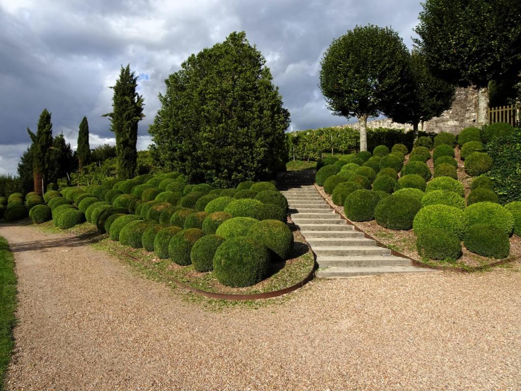 Amboise: Schloss Garten (2024)