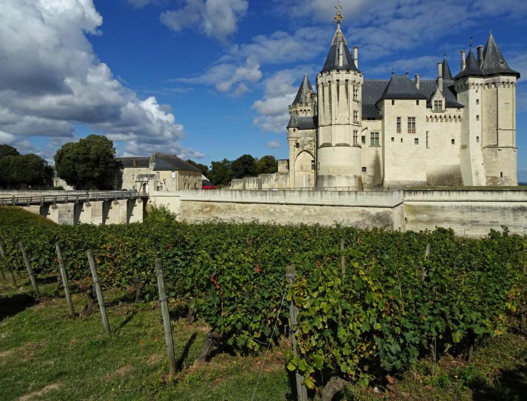 Saumur: Schloss (2024)