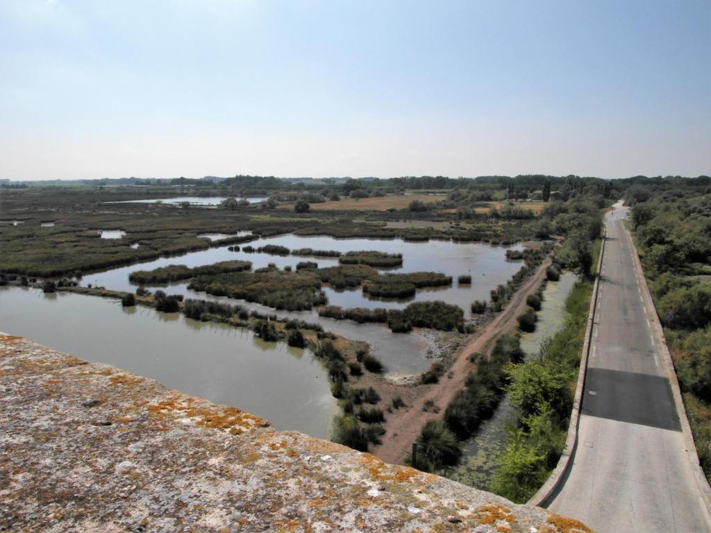 Blick vom Carbonnière-Turm bei Aigues-Mortes (2013)