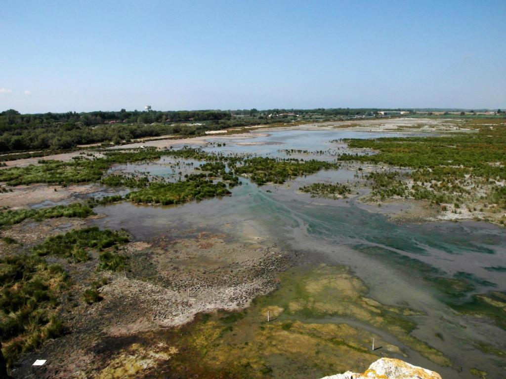 Blick vom Carbonnière-Turm bei Aigues-Mortes (2013)