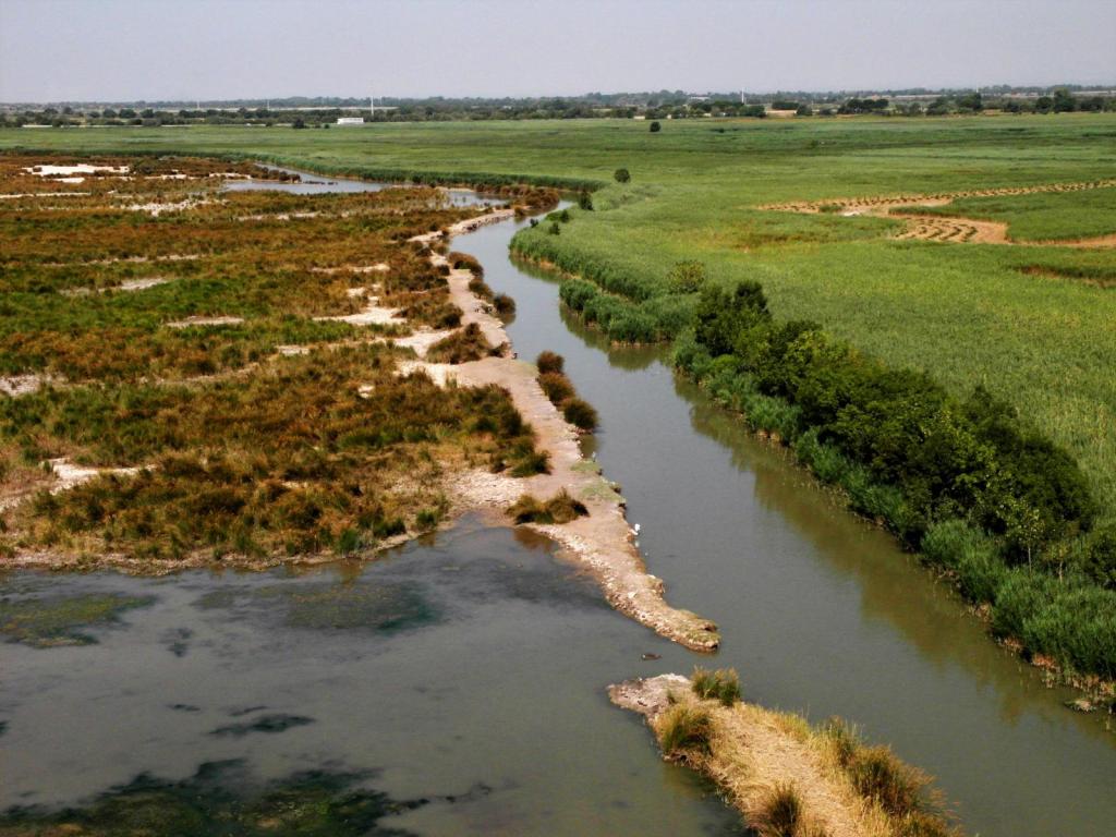 Blick vom Carbonnière-Turm bei Aigues-Mortes (2013)