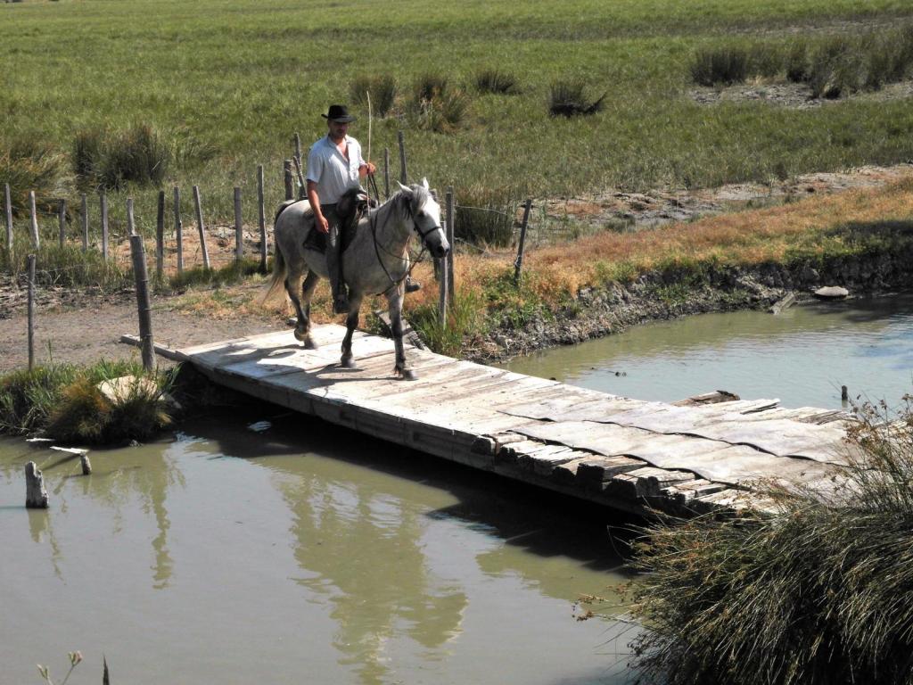 Blick vom Carbonnière-Turm bei Aigues-Mortes (2013)
