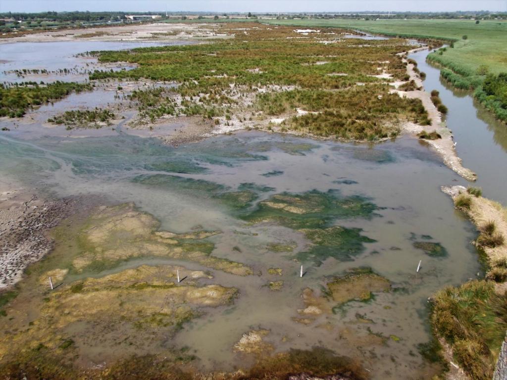 Blick vom Carbonnière-Turm bei Aigues-Mortes (2013)