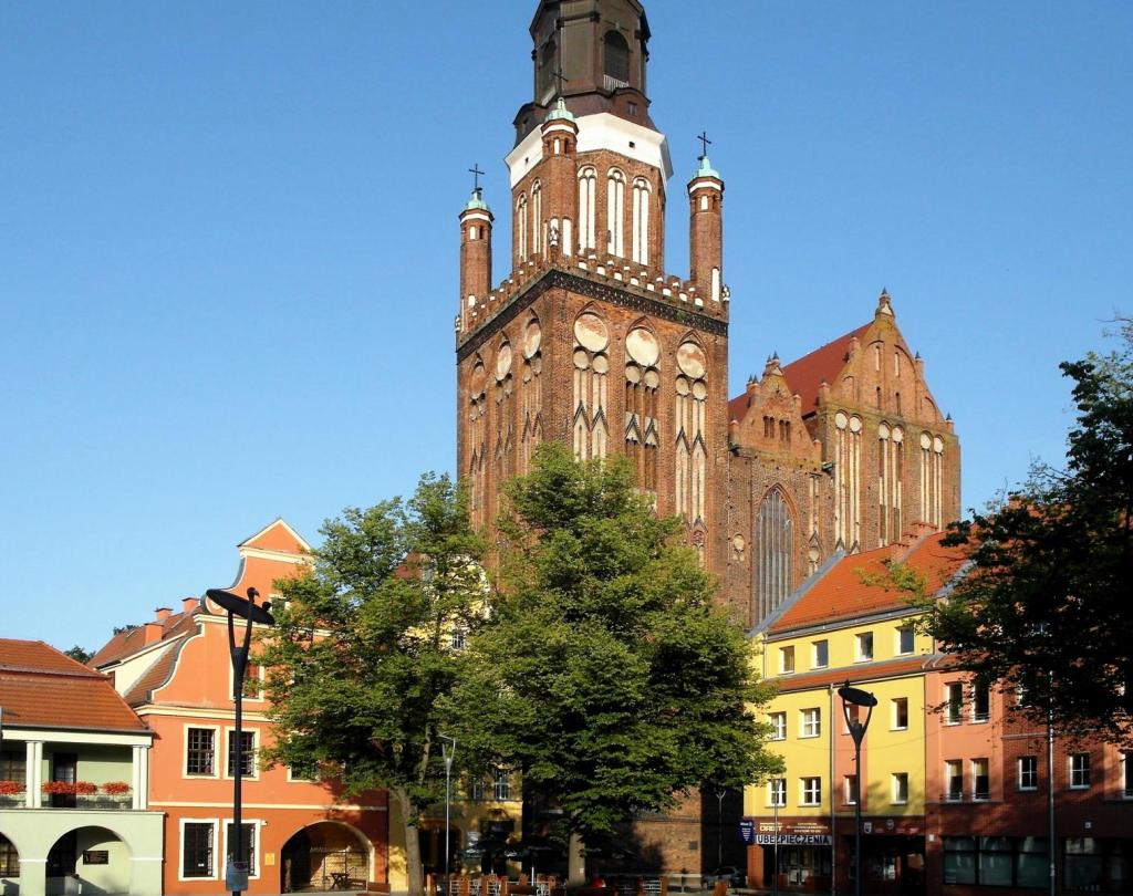 Stargard [poln. Stargard Szczecinski]: Marienkirche (2012)