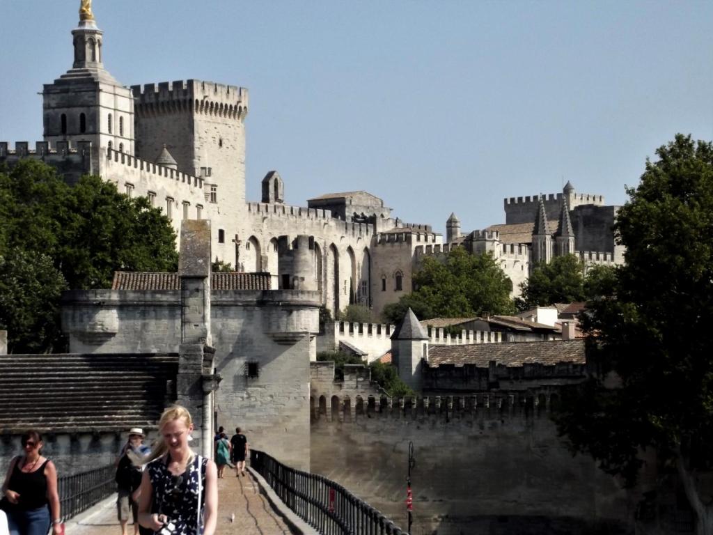Avignon: Brücke und Papstpalast (2013)