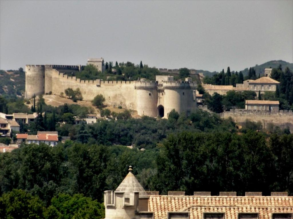 Villeneuve-lès-Avignon: Fort St. André (2013)