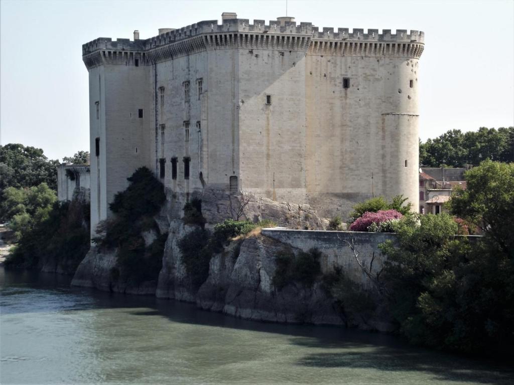 Tarascon: Burg (2013)