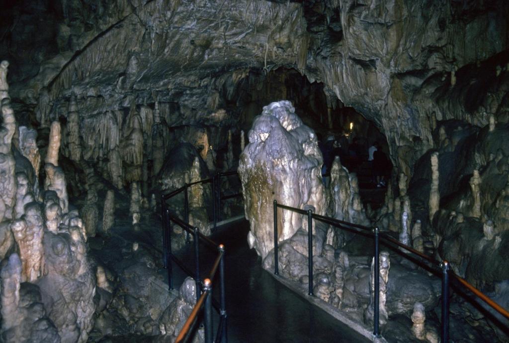 Adelsberger Grotte (1999)