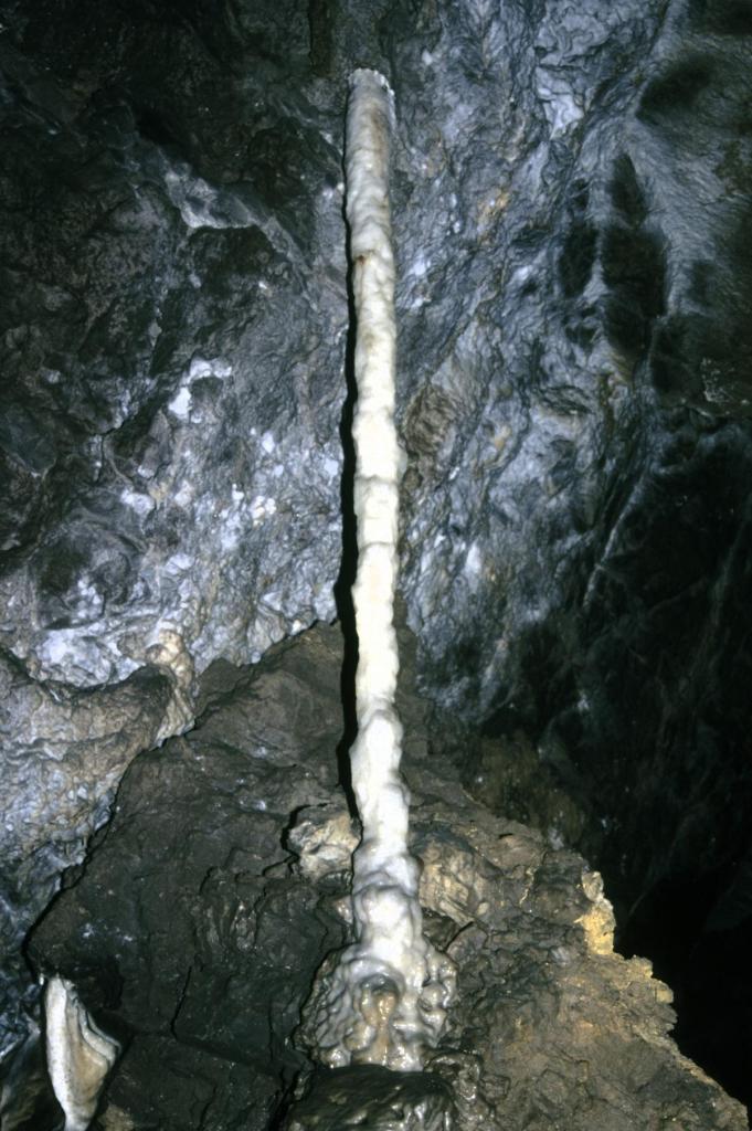 Adelsberger Grotte (1999)