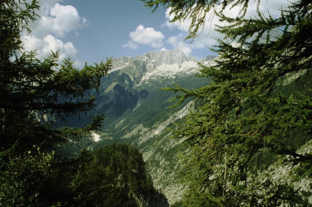 Isonzo [slow. Soča], Blick vom Werschetzsattel (1999)