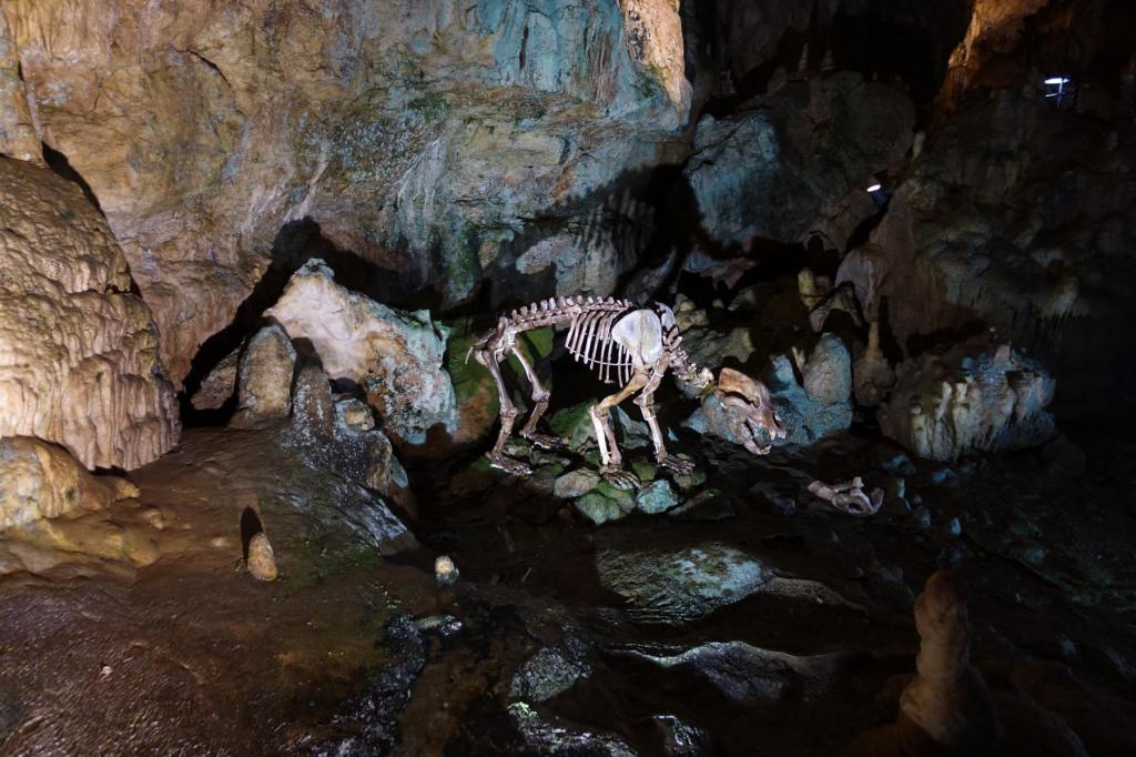 Bärenhöhle (2024)