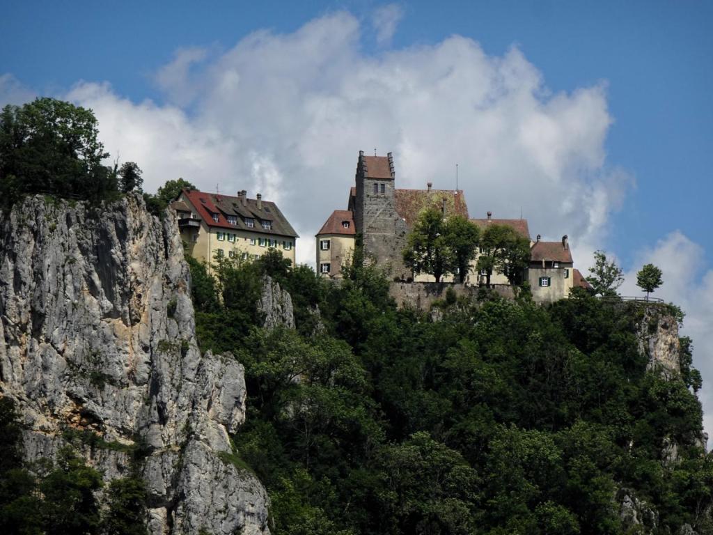 Burg Werenwag (2024)