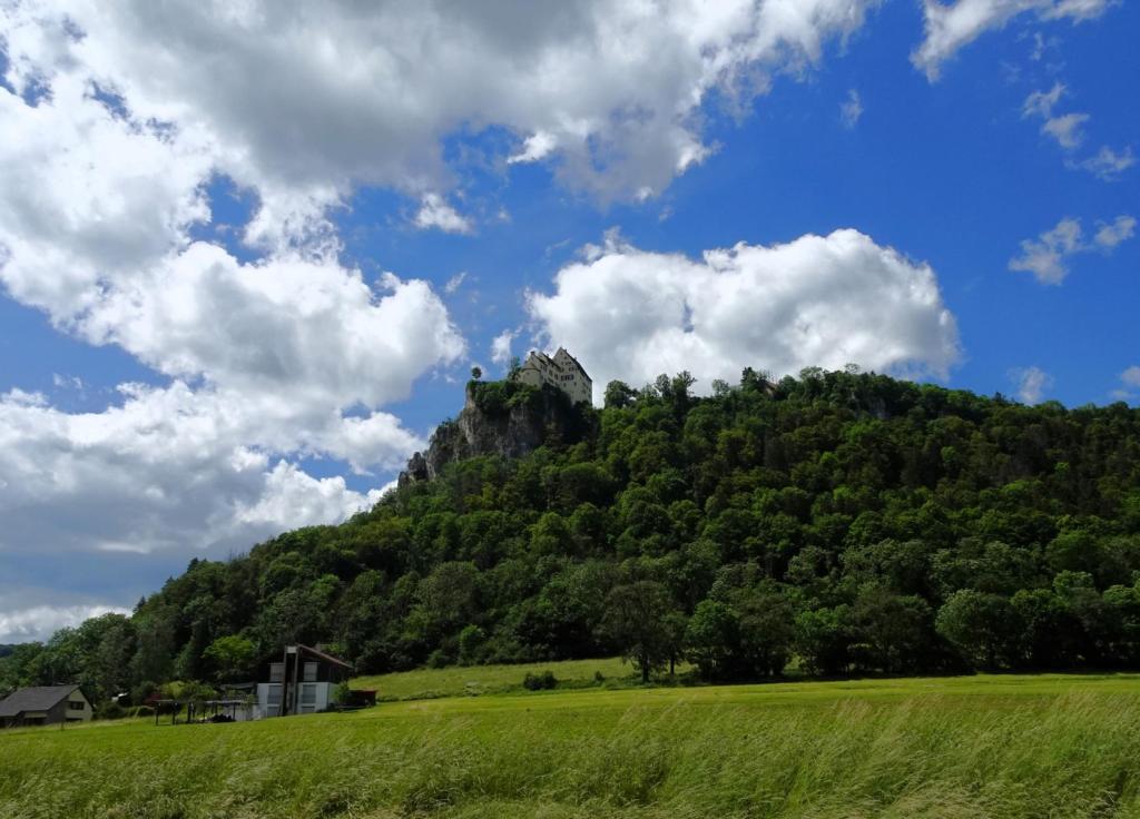 Burg Werenwag (2024)