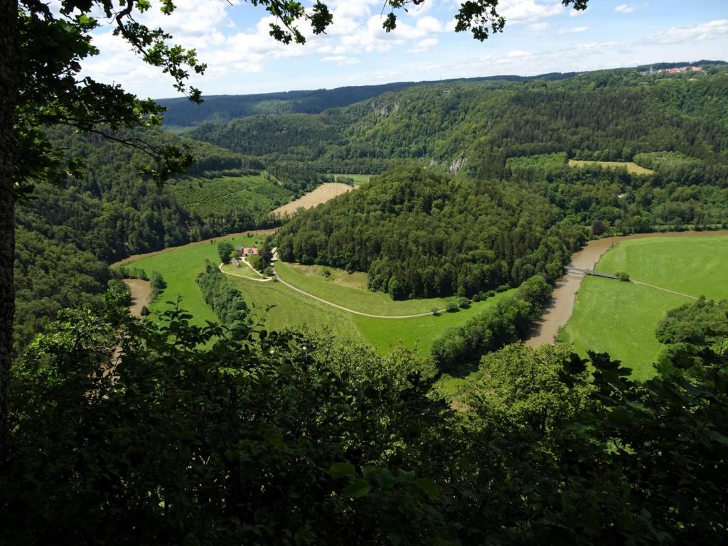 Burg Wildenstein: Blick ins Donautal (2024)
