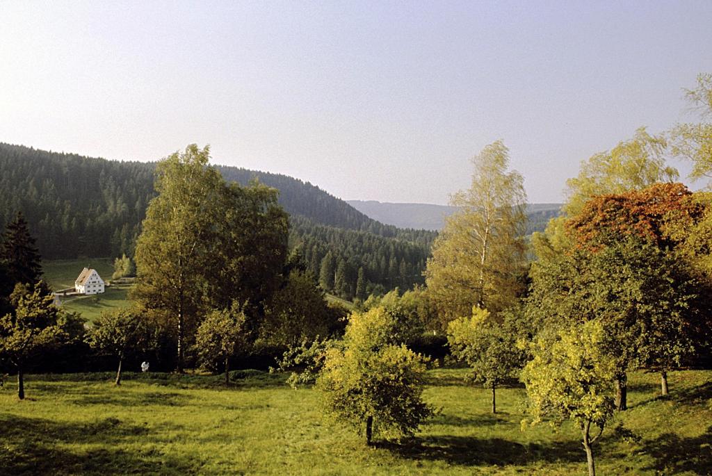 Freudenstadt: Christophstal mit Bärenschlössle (1980er Jahre)