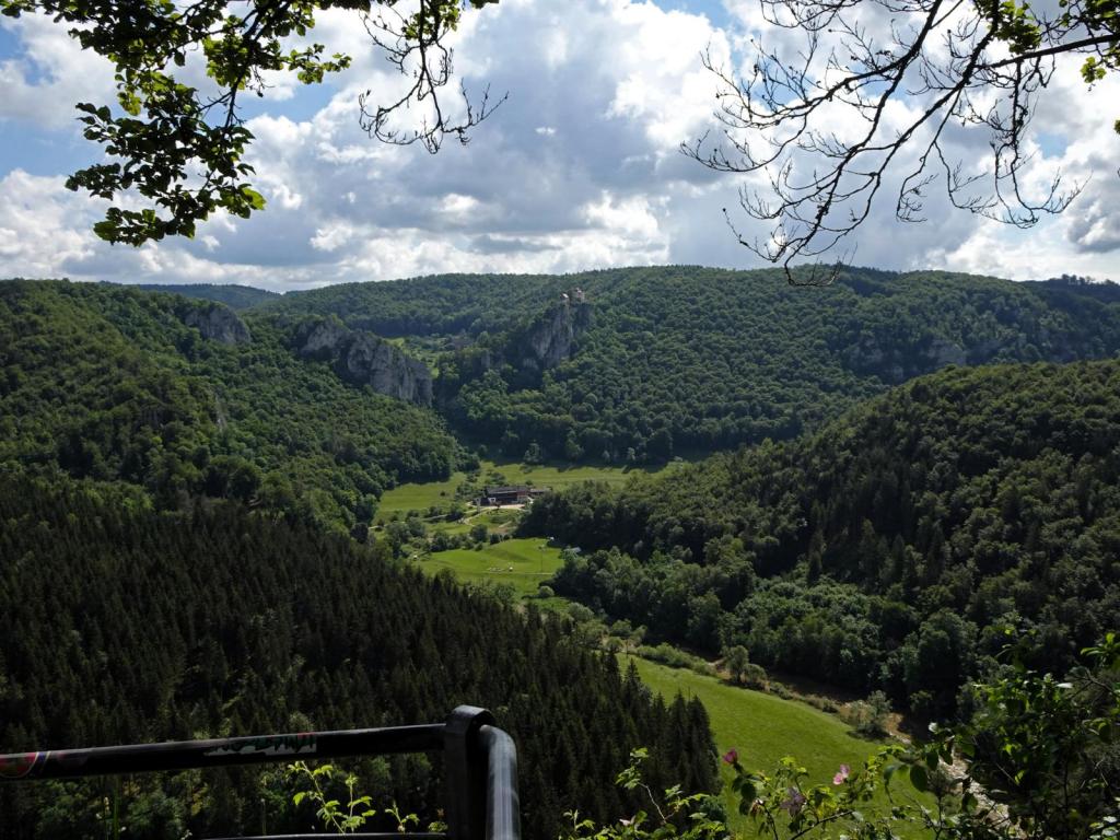 Fridingen: Blick vom Knopfmacherfelsen (2024)