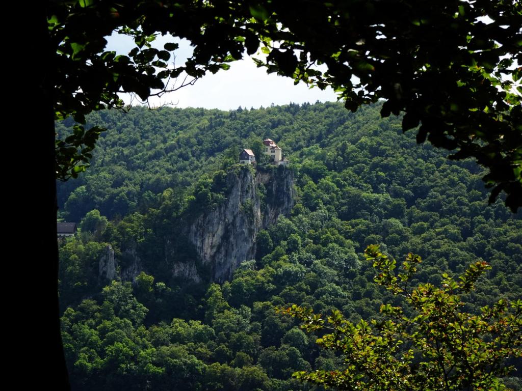 Fridingen: Blick vom Knopfmacherfelsen zur Burg Bronnen (2024)