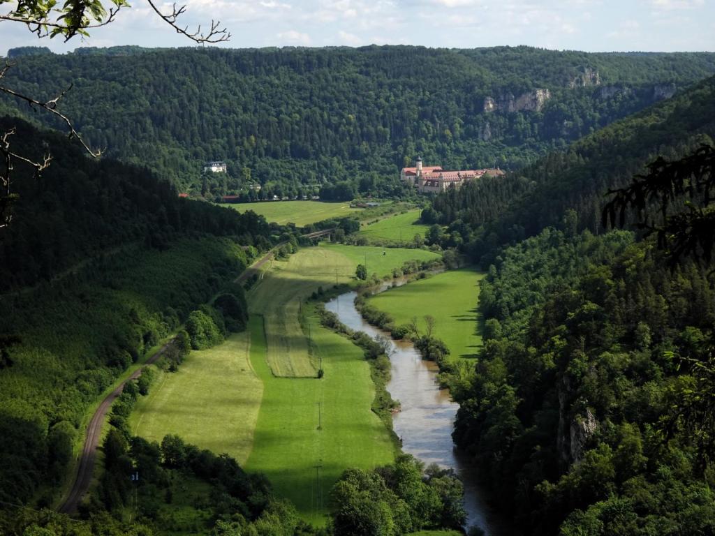 Fridingen: Blick vom Knopfmacherfelsen donauabwärts zum Kloster Beuron (2024)