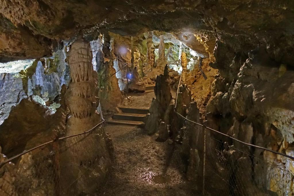 Nebelhöhle (2024)