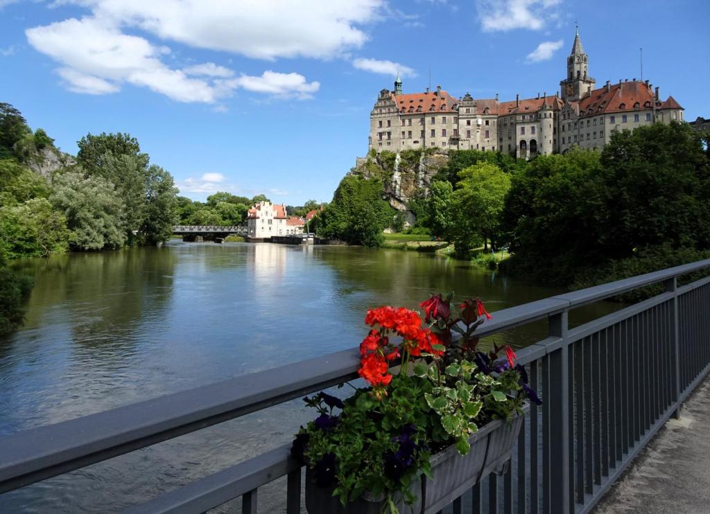 Sigmaringen: Schloss (2024)