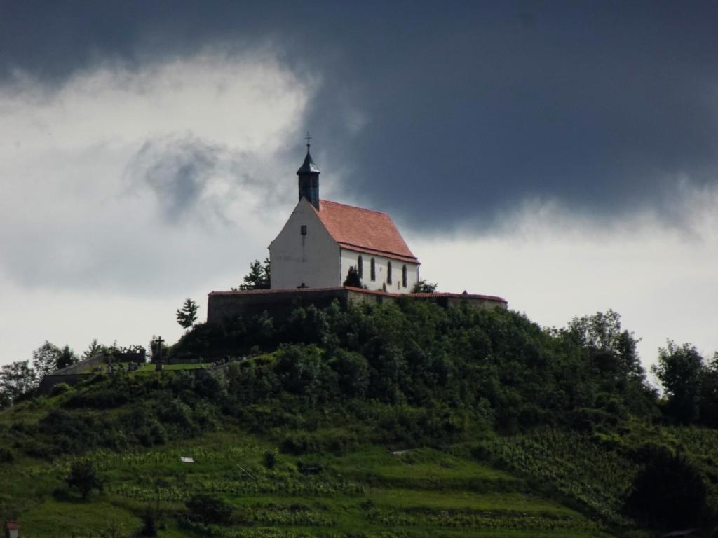 Wurmlinger Kapelle (2024)