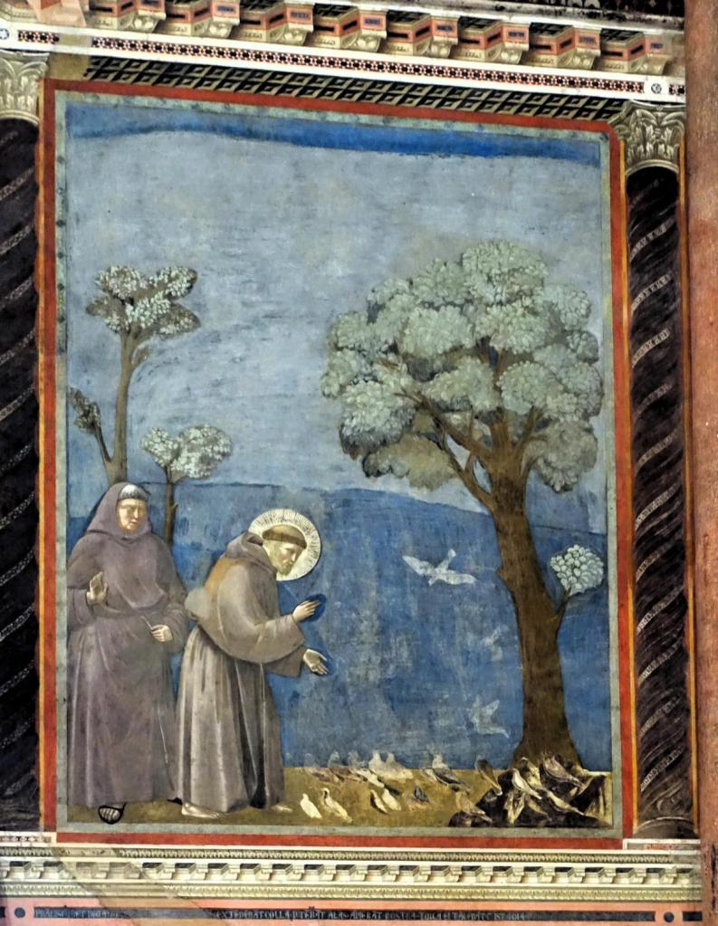 Assisi: Franziskusbasilika - Oberkirche [Vogelpredigt] (2025)