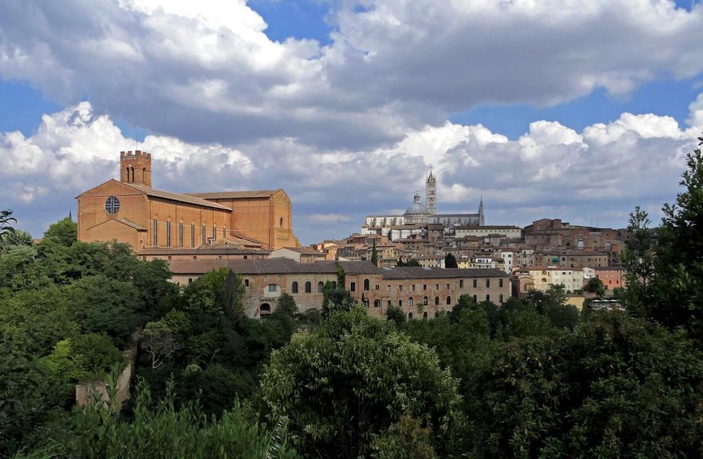 Blick auf Siena mit San Domenico und Dom (2017)